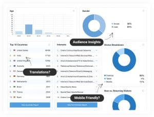 MonsterInsights - Audience Report