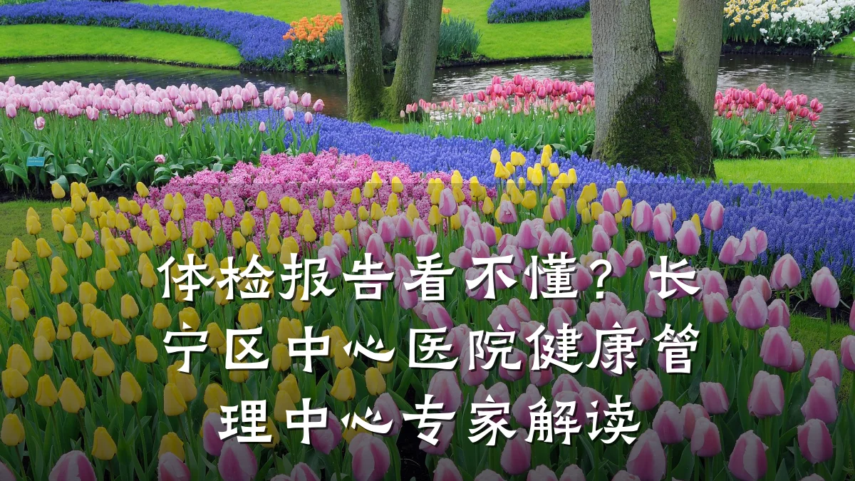 体检报告看不懂？长宁区中心医院健康管理中心专家解读