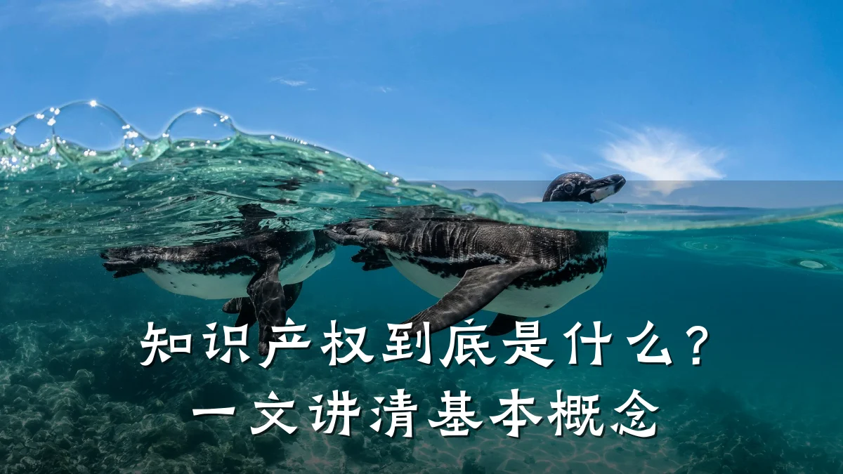 知识产权到底是什么？一文讲清基本概念