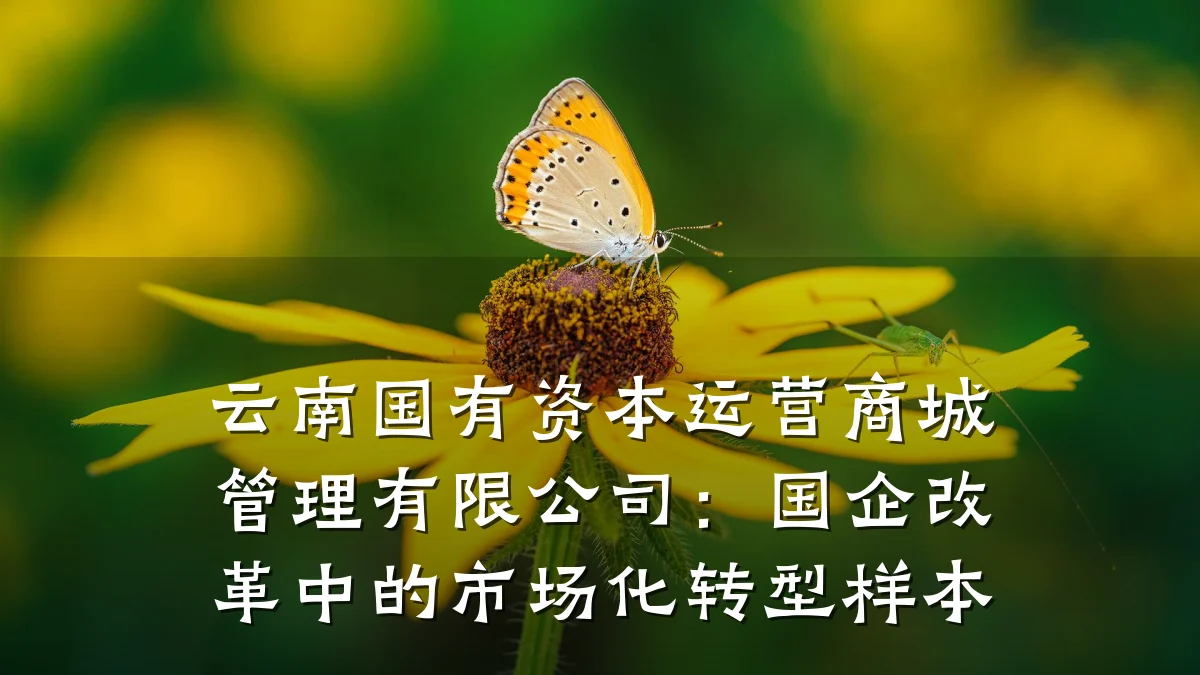 云南国有资本运营商城管理有限公司:国企改革中的市场化转型样本