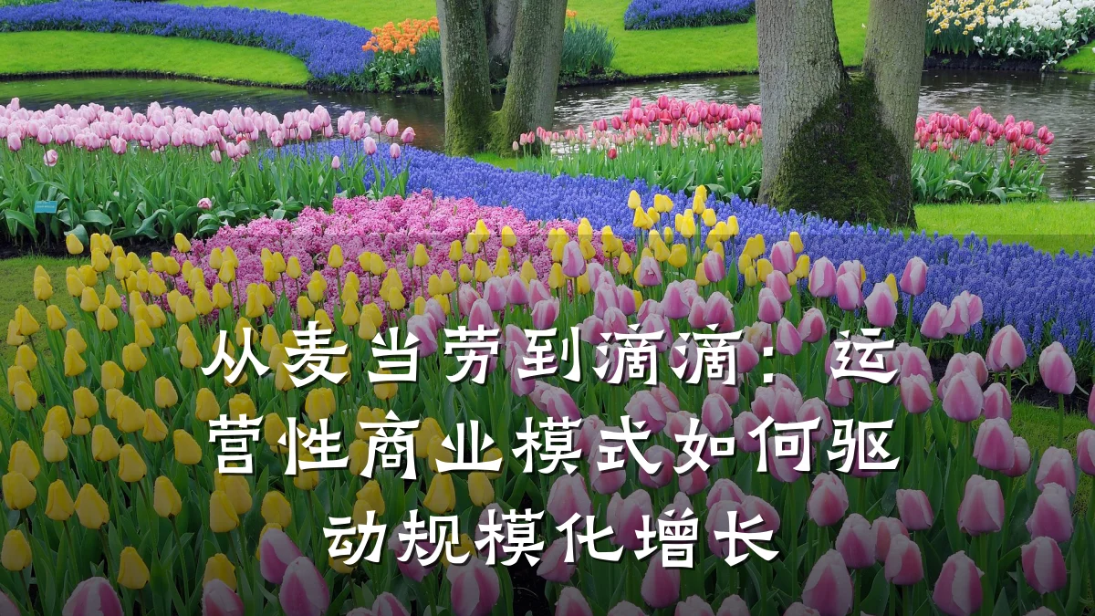 从麦当劳到滴滴:运营性商业模式如何驱动规模化增长