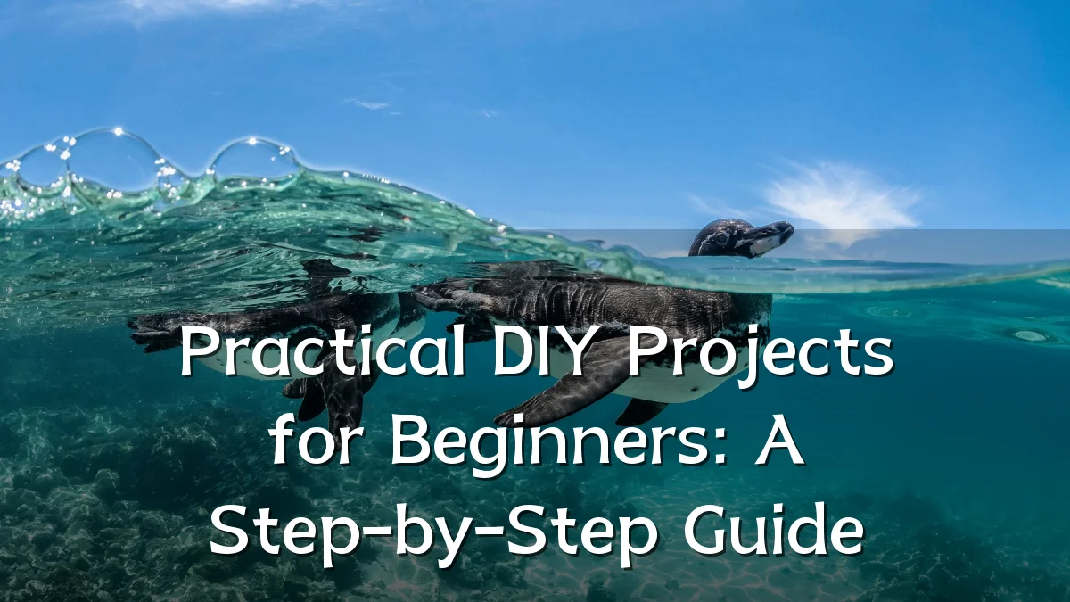 Practical DIY Projects for Beginners: A Step-by-Step Guide