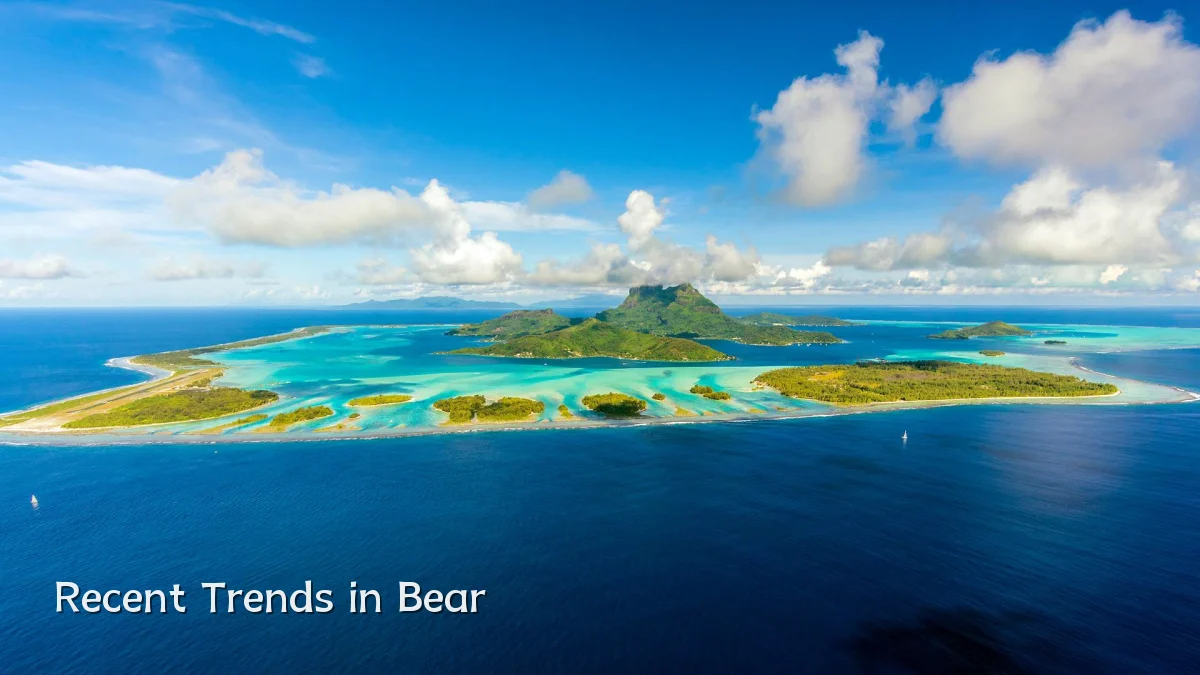 Recent Trends in Bear