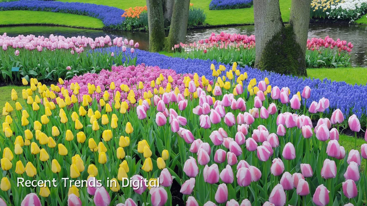 Recent Trends in Digital