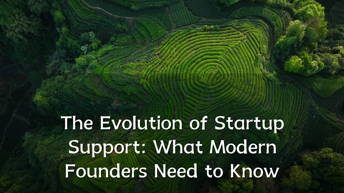 The Evolution of Startup Support: What Modern Founders Need to Know