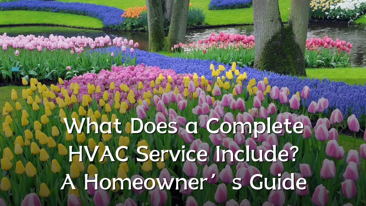 What Does a Complete HVAC Service Include? A Homeowner’s Guide