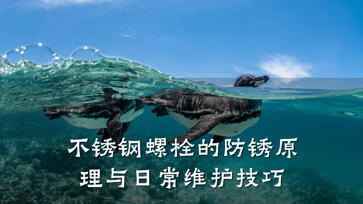 不锈钢螺栓的防锈原理与日常维护技巧