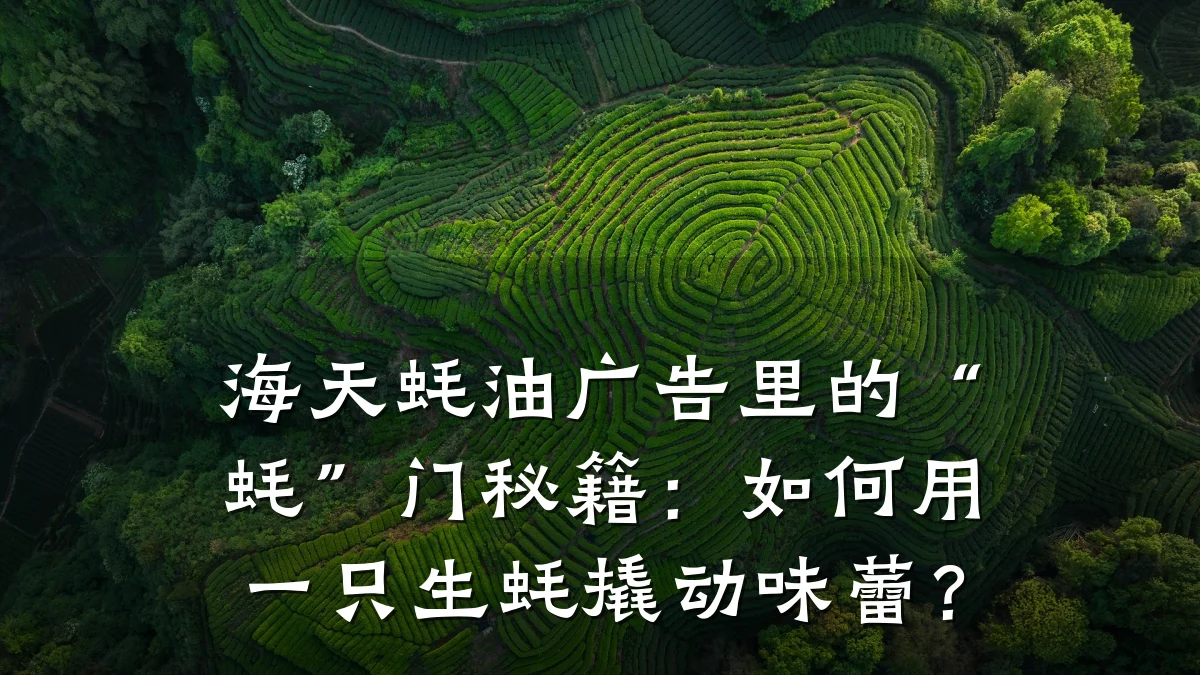 海天蚝油广告里的“蚝”门秘籍：如何用一只生蚝撬动味蕾？
