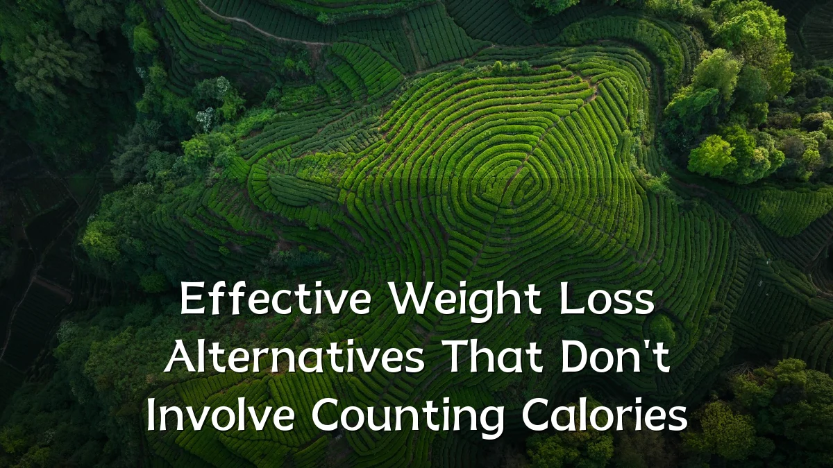 Effective Weight Loss Alternatives That Don't Involve Counting Calories