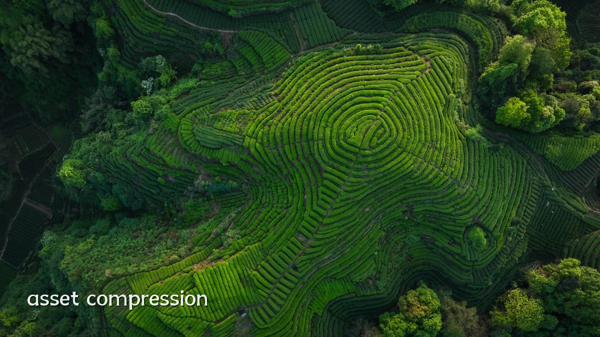 asset compression