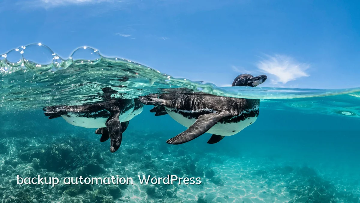 backup automation WordPress