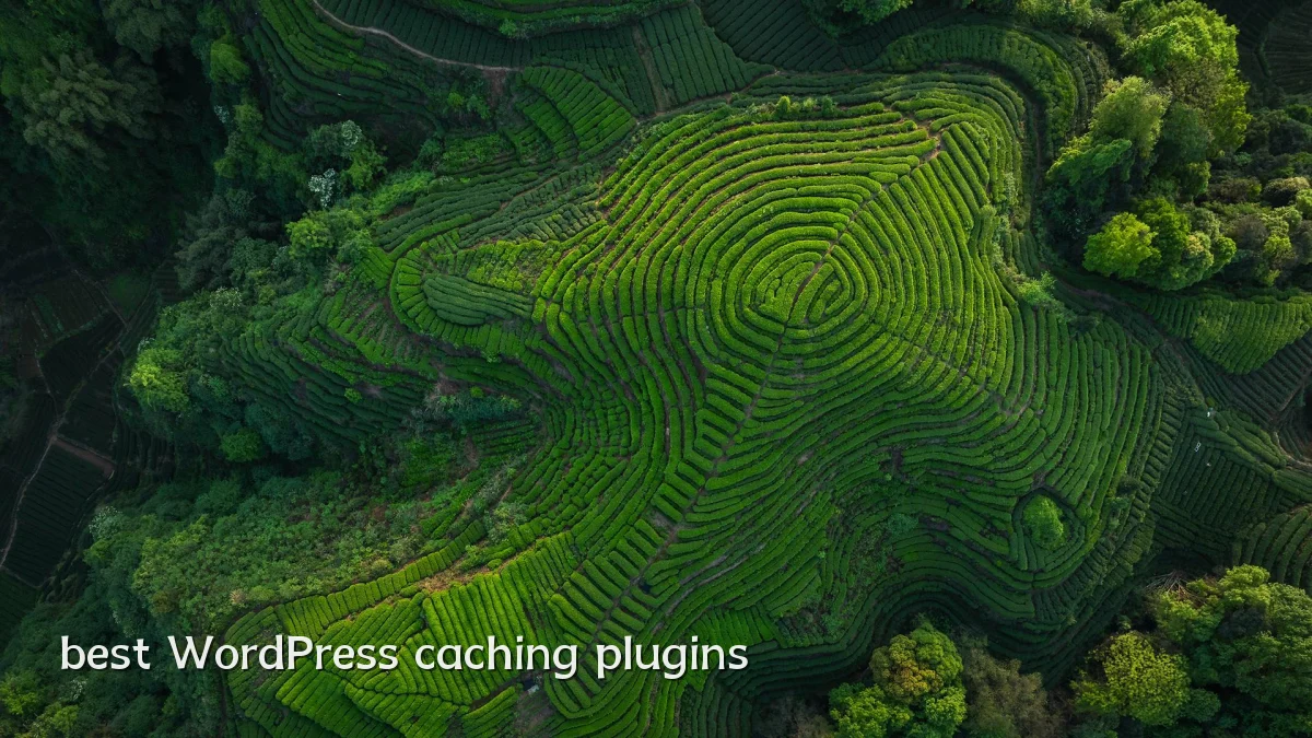 best WordPress caching plugins