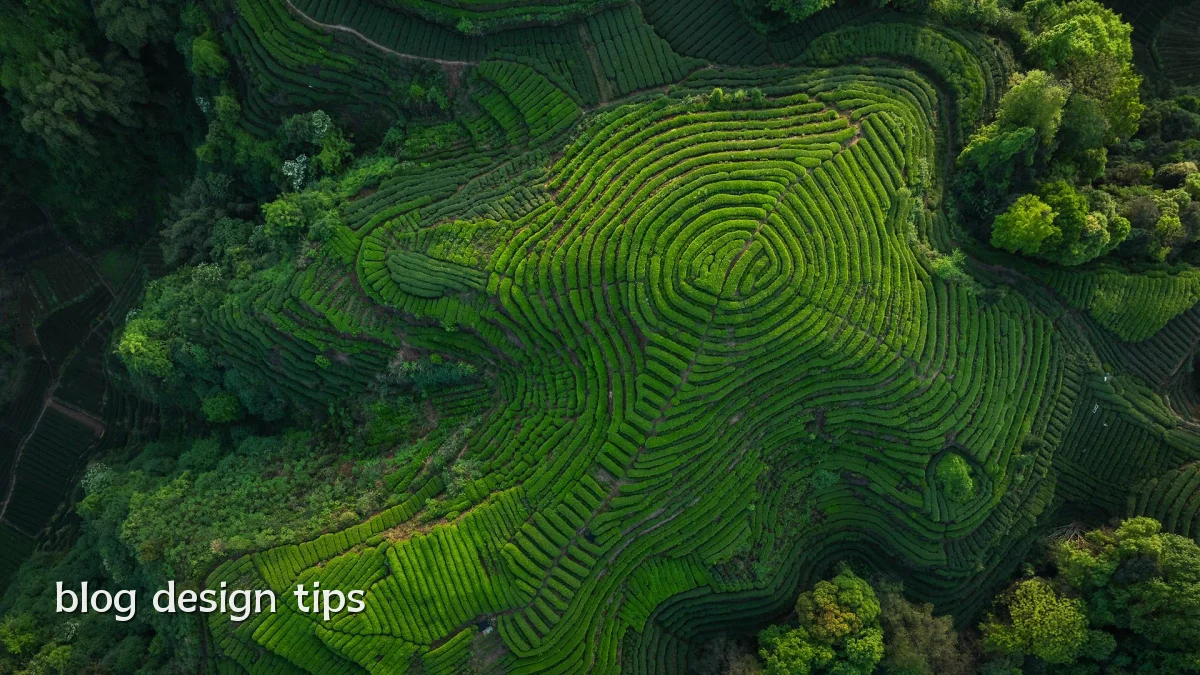blog design tips