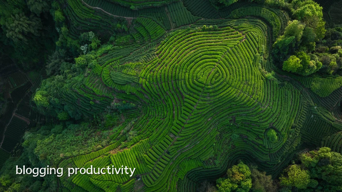 blogging productivity