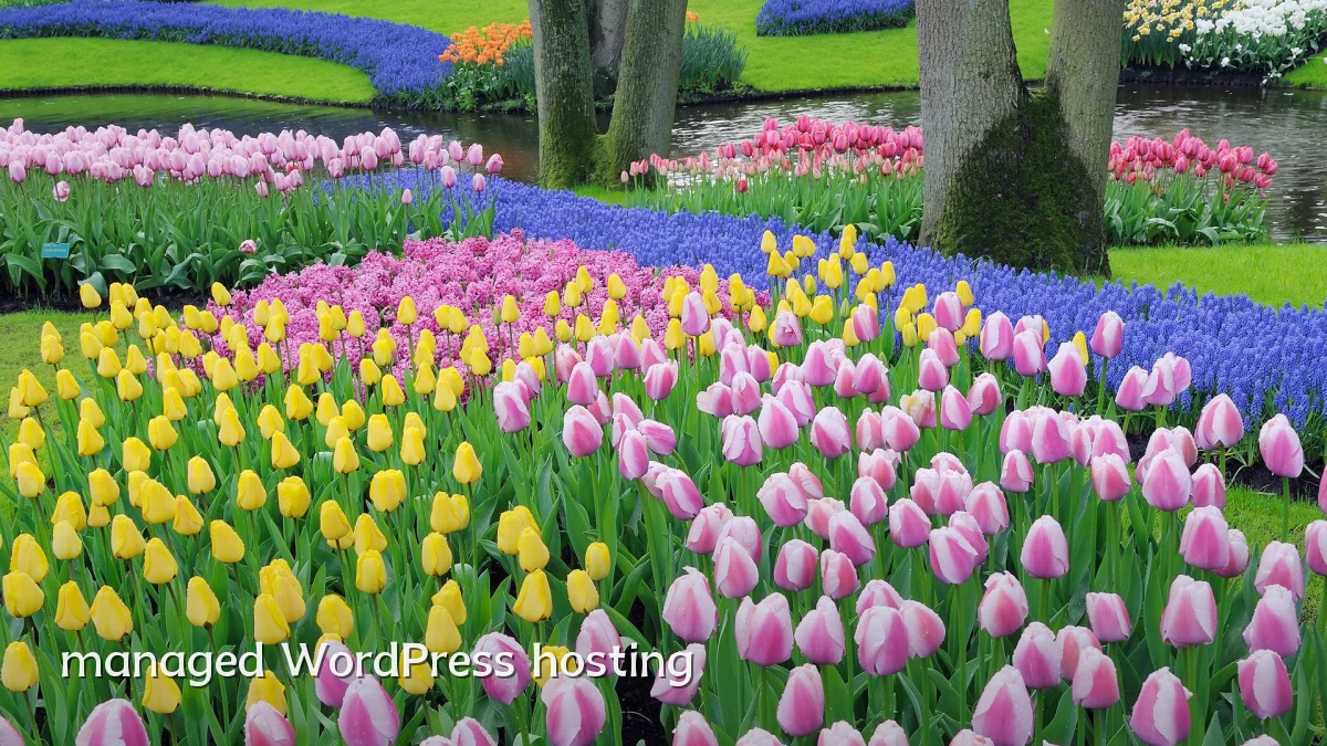 managed WordPress hosting