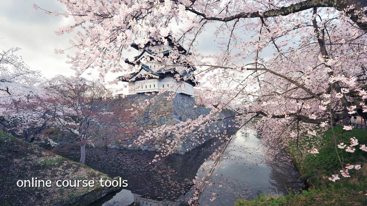 online course tools