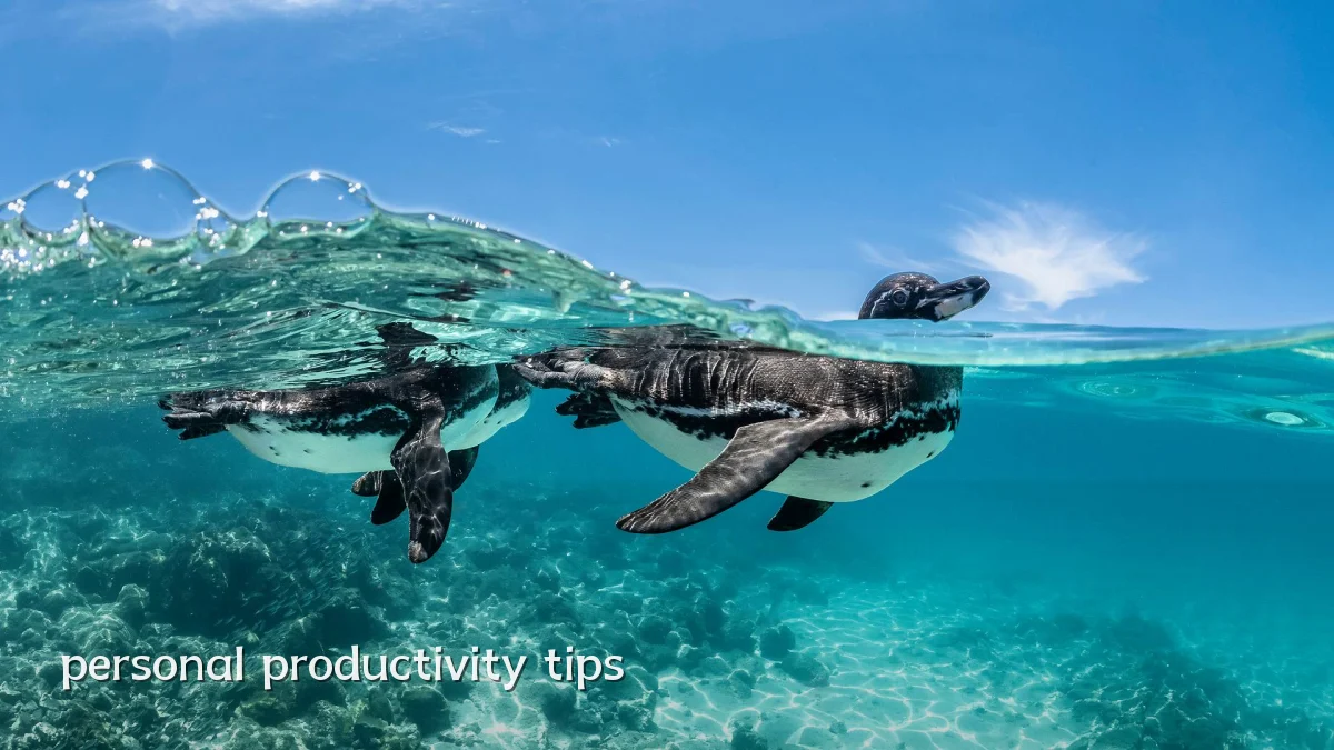 personal productivity tips