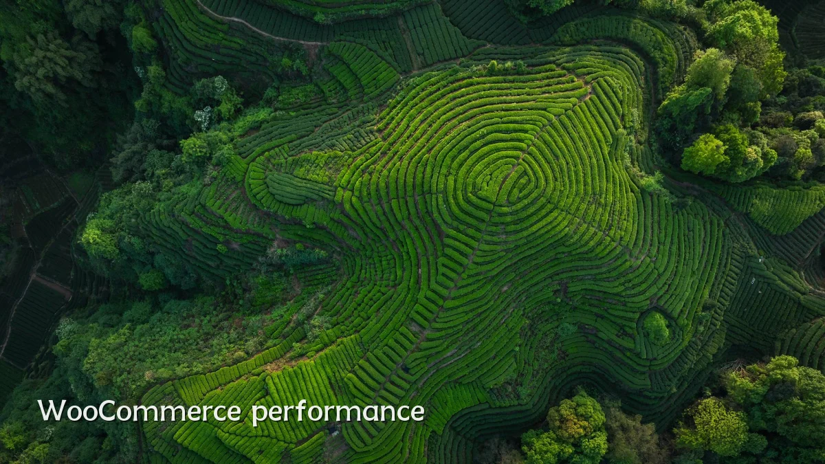 WooCommerce performance