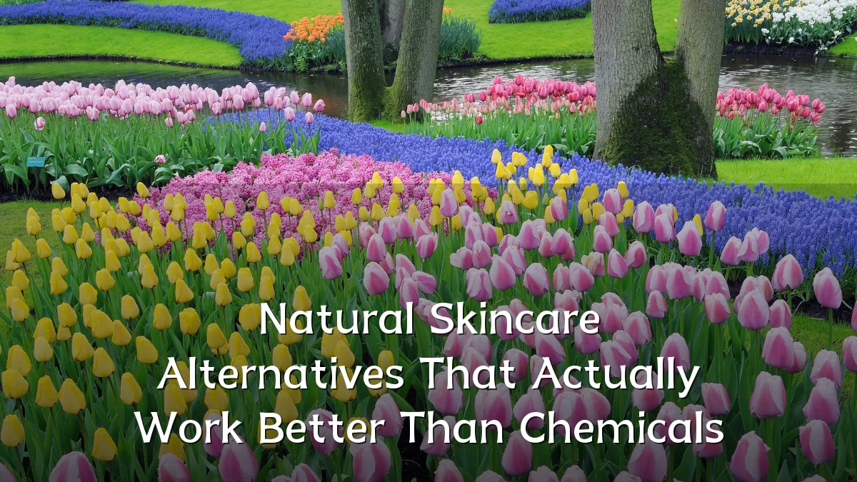 Natural Skincare Alternatives That Actually Work Better Than Chemicals