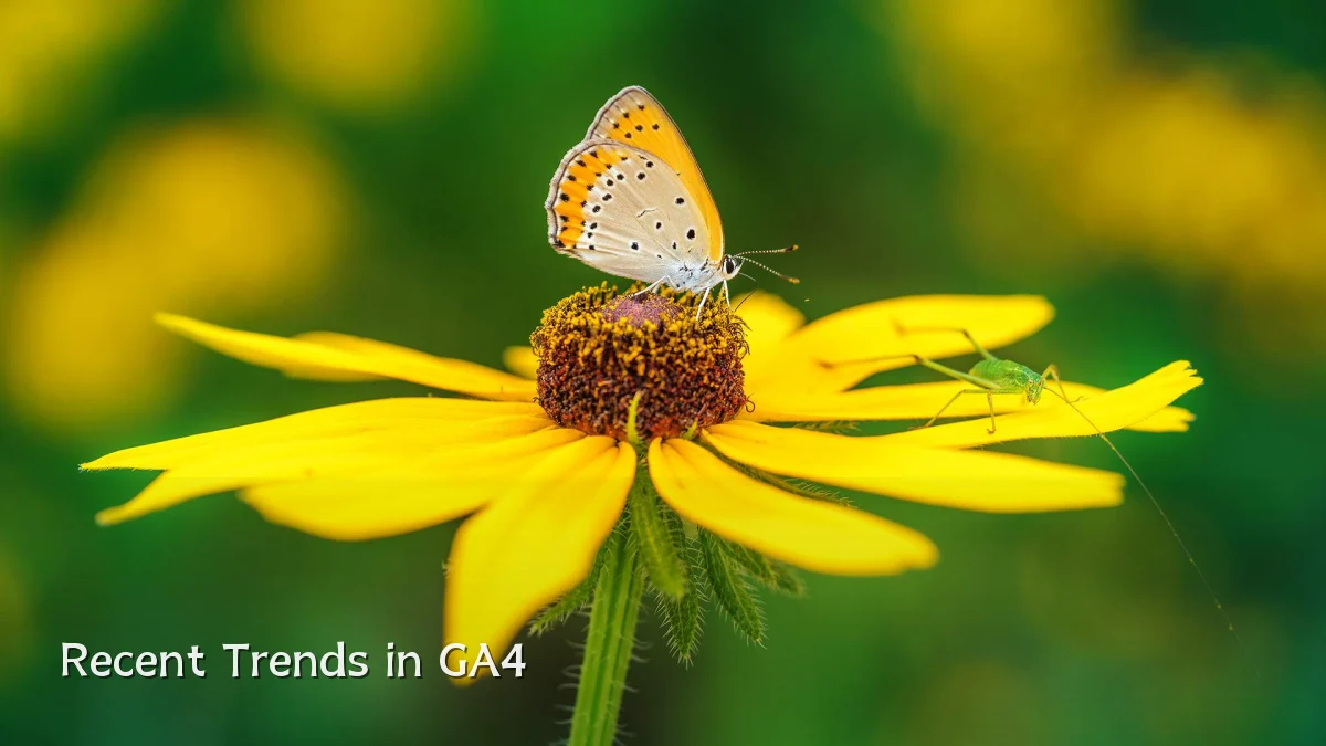 Recent Trends in GA4
