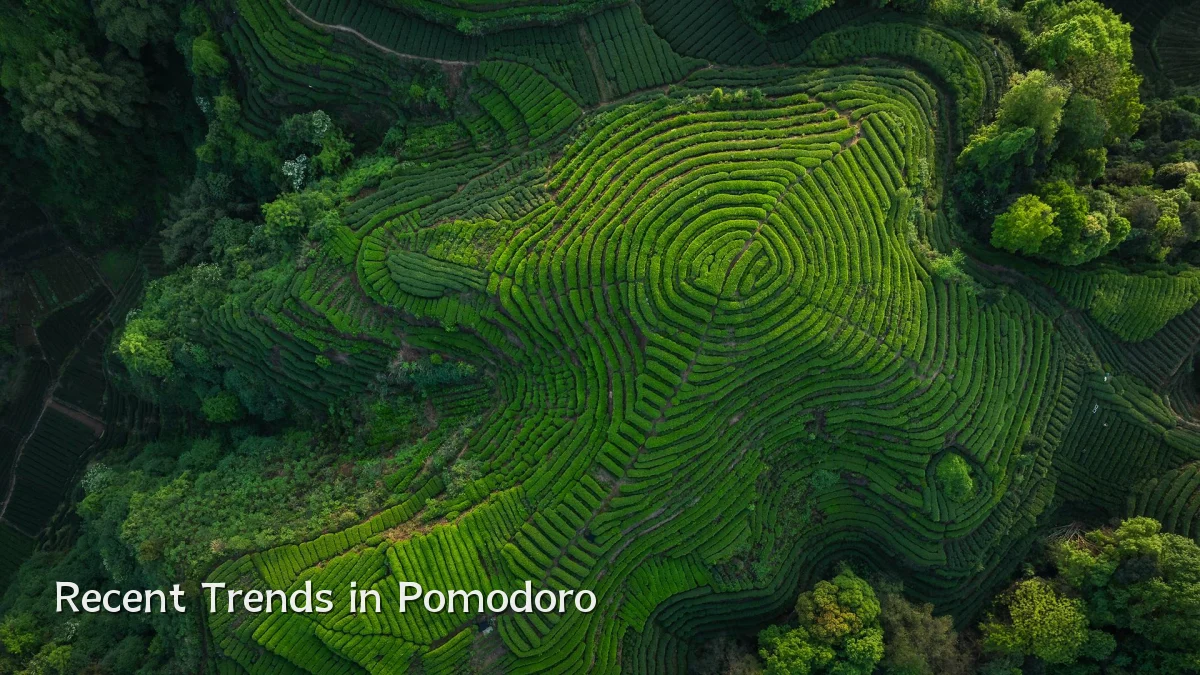 Recent Trends in Pomodoro