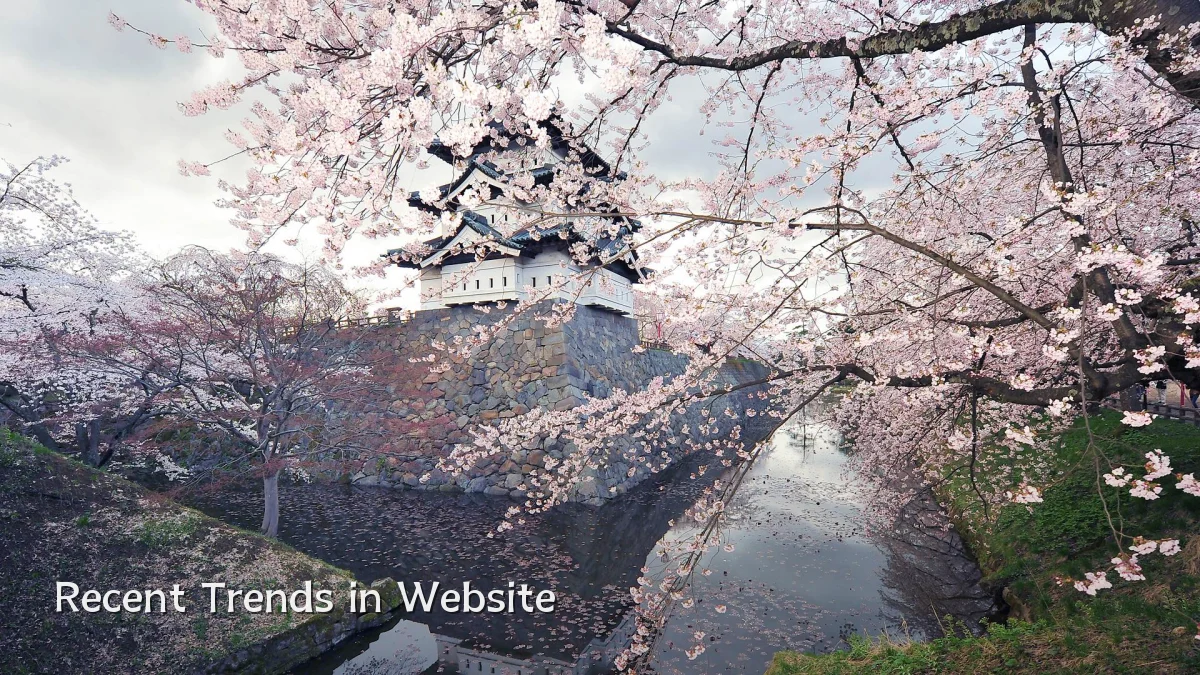 Recent Trends in Website