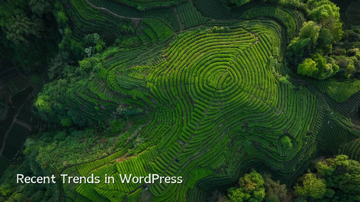 Recent Trends in WordPress