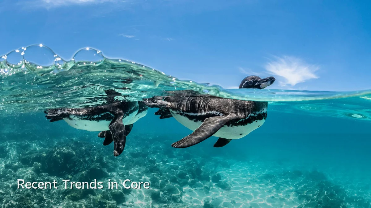Recent Trends in Core